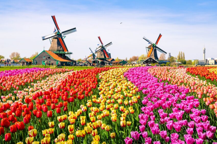 The Netherlands - Landscape